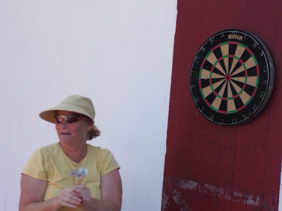 2010 Darts Tournament at Lansman's Bungalow Colony, photo 12
