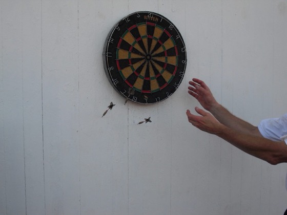 2010 Darts Tournament at Lansman's Bungalow Colony, photo 20
