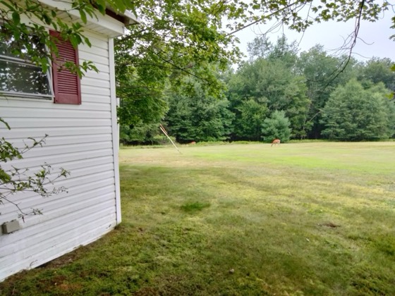 Unit 61 bungalow at Lansman's, Woodbourne NY, photo 13