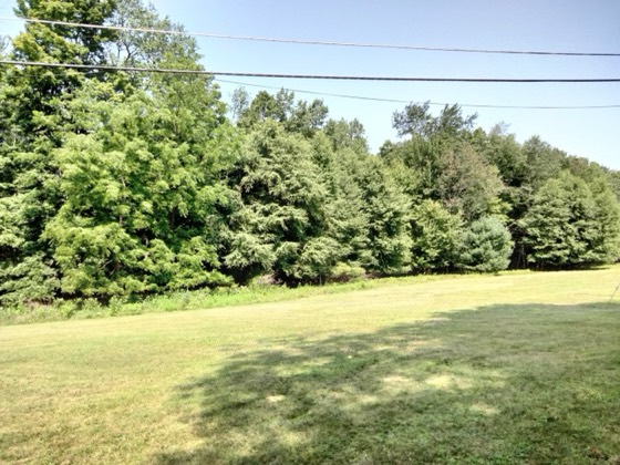 Unit 61 bungalow at Lansman's, Woodbourne NY, photo 14